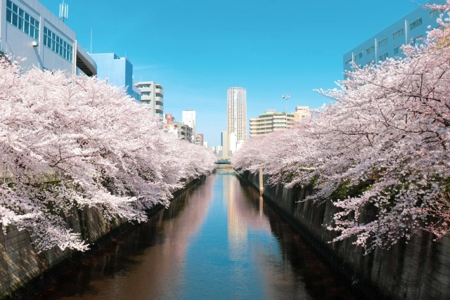 目黒川