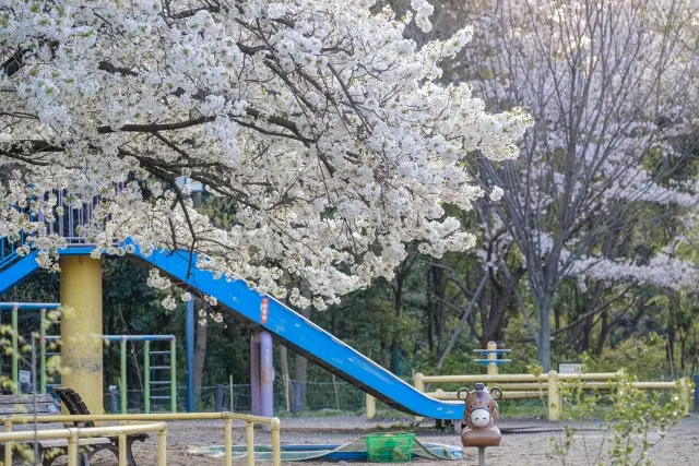 菅刈公園