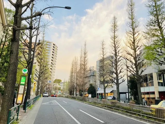 プラチナ通り