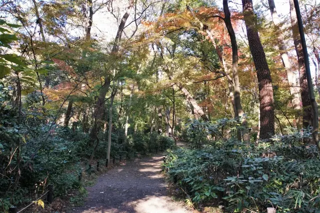 国立科学博物館附属自然教育園