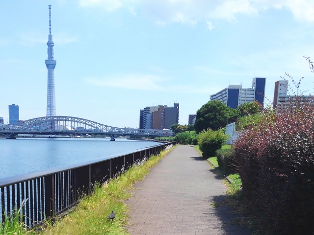 隅田川