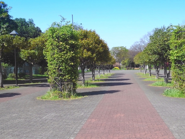 東白鬚公園