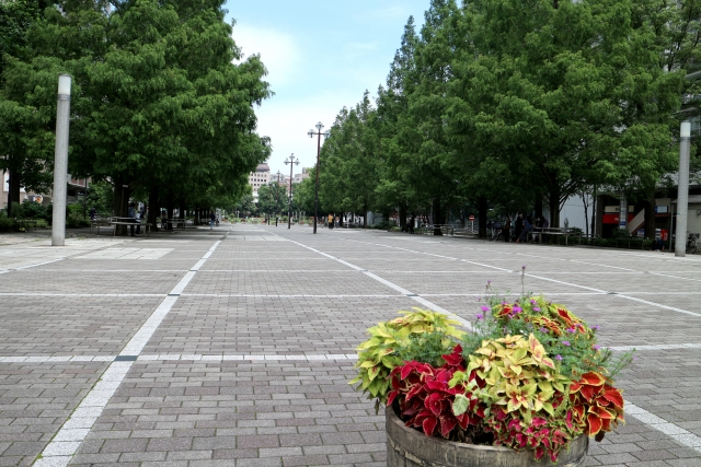 大通り公園